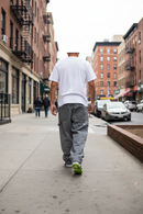 Jean Dc Baggy Denim Carpenter Gris