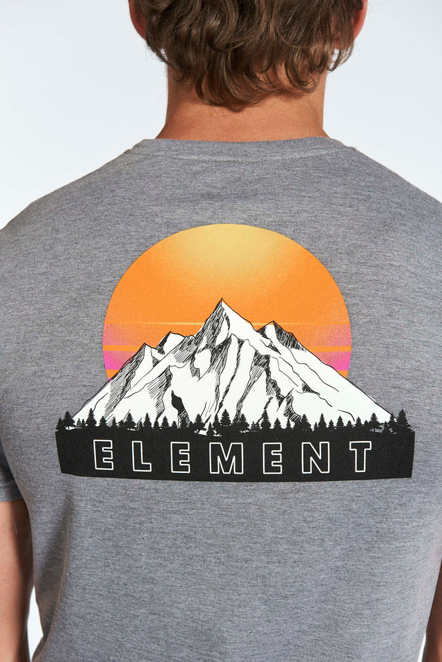 Remera Element Hollis Gris