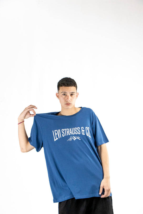 Remera Levis H Graphic Set In Neck (Levi Strauss)