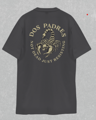 Remera Dos Padres H Regular Pavimento 6893G