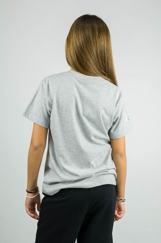 Remera Ocn Rmc N Premium Melange Claro 078