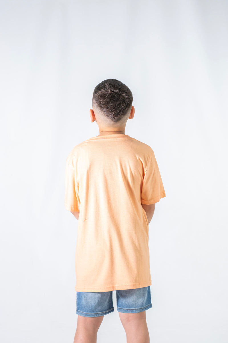 Remera DC Kids Mc Tall Stack Coral