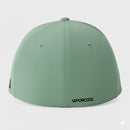 Gorra Rip Curl Delta Flexfit Verde