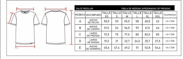 Remera Kingpin H Regular Blanco