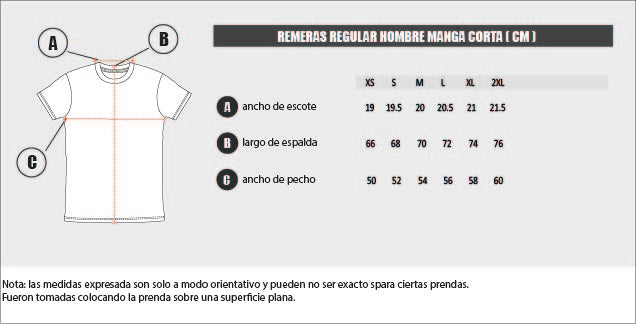 Remera Rip Curl H MC RLX New California (MG)