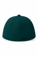 Gorra Rip Curl Delta Flexfit Verde