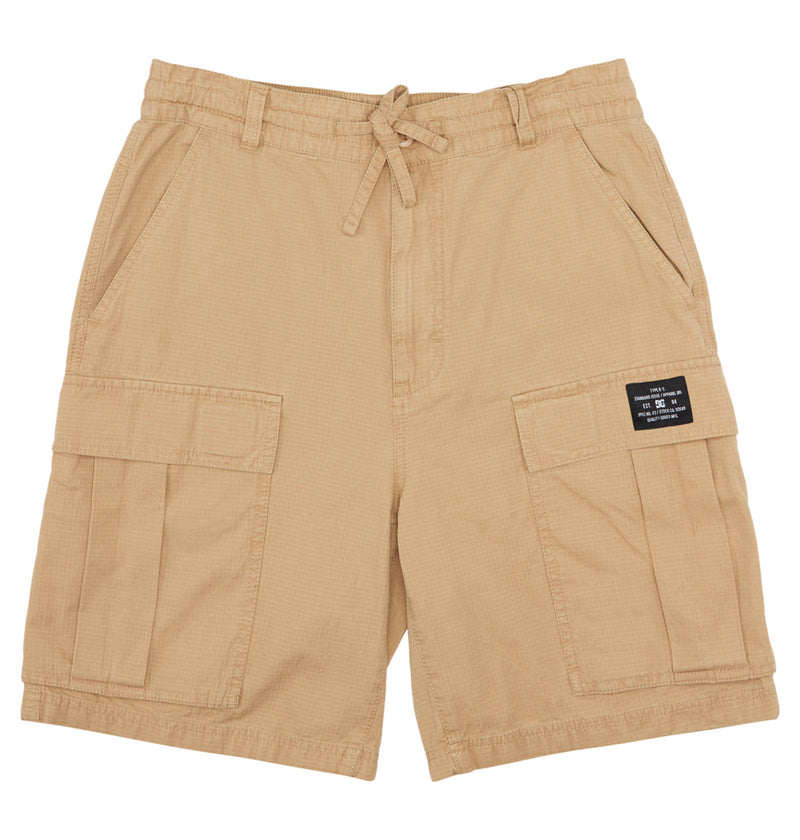 Walkshort Dc Tundra Cargo CJZ0 Beige
