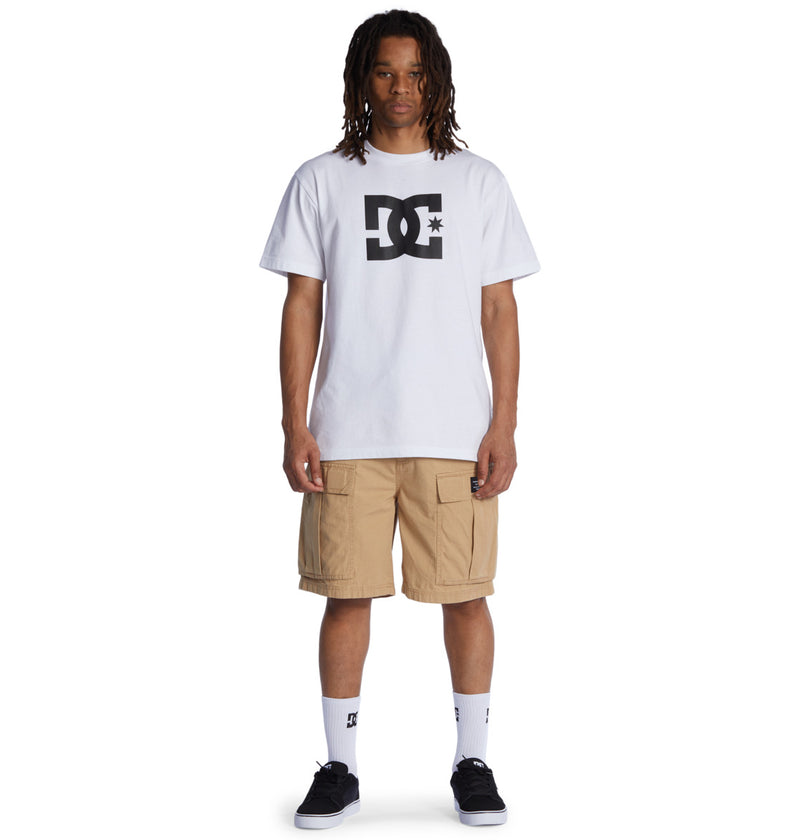 Walkshort Dc Tundra Cargo CJZ0 Beige