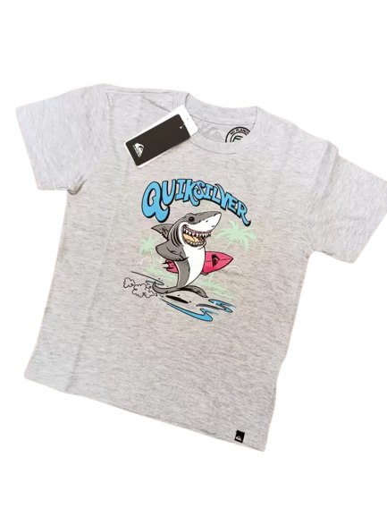 Remera KIDS Quiksilver Washed Out(GRS)QK KIDS