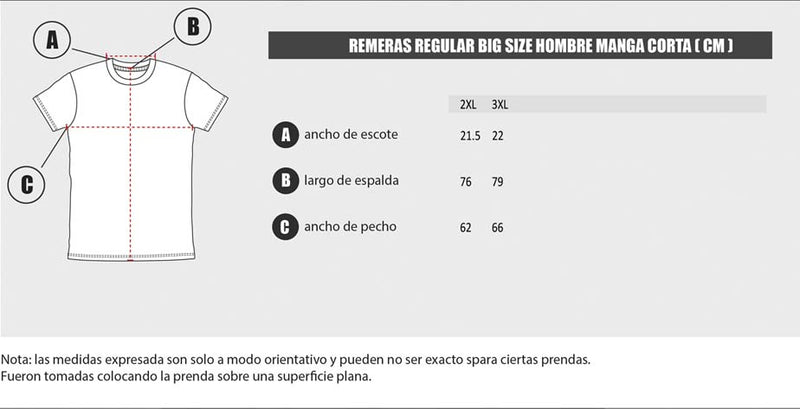 Remera Rip Curl Hombre TE MC (KE) NEW CLASSIC