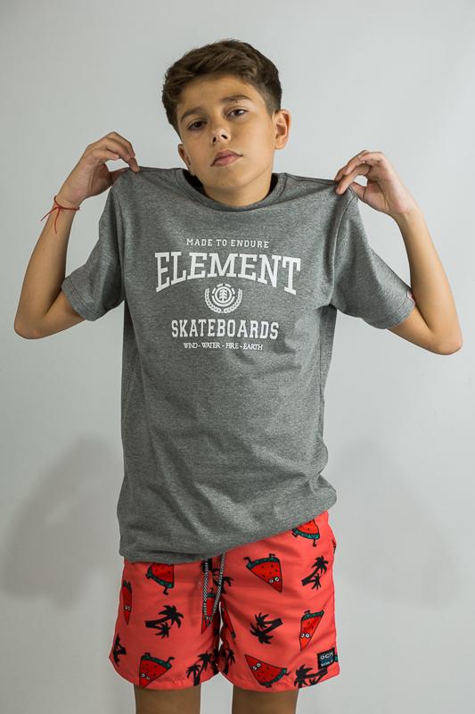 Remera Element Victory Tee Boys Gris