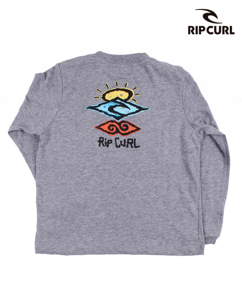 Remera Rip Curl O Te Ml Icons Of Shred Gris